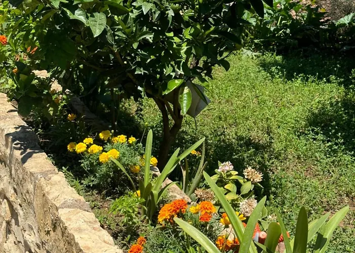 Meroli - Unesco Quarter 4*